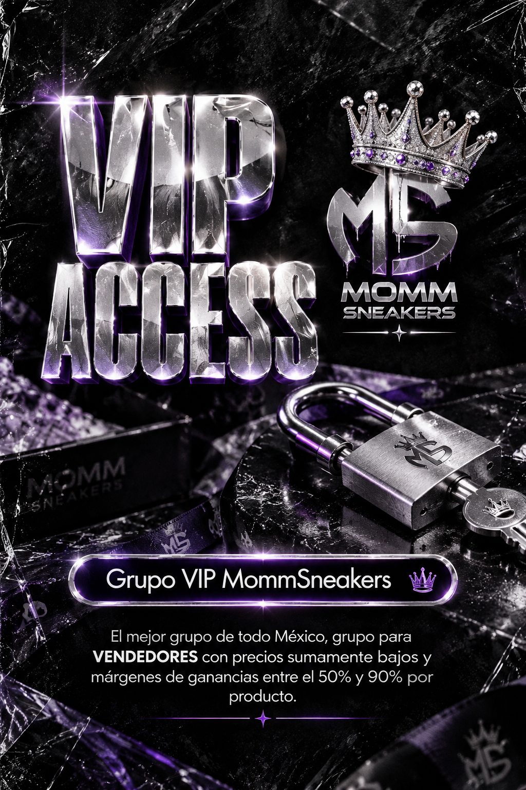 GRUPO VIP NOVIEMBRE 2026