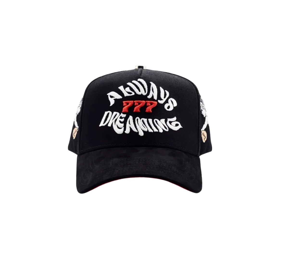 DREAMER ALWAYS DREAMING