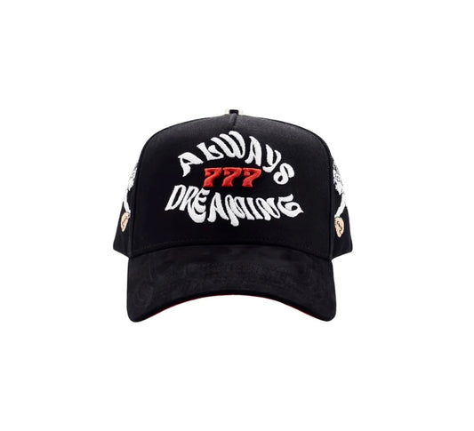 DREAMER ALWAYS DREAMING